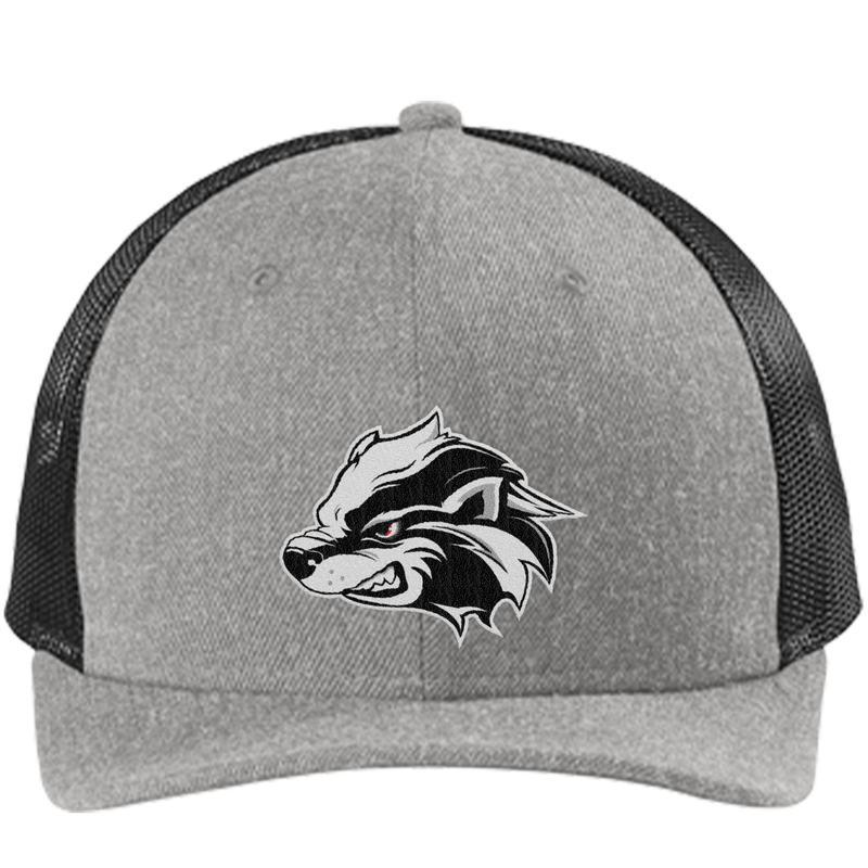 Allegheny Badgers New Era Snapback Low Profile Trucker Cap